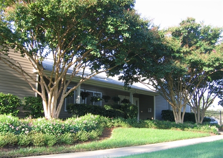 Brandywine Apartments